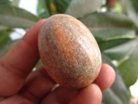 ביצה מאבן ג'ספר משקל: 80 גרם ומעמד עץ מסוגנן