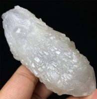 אלסטייל הימלייה גלם משקל: 124 גרם