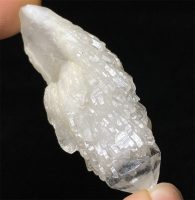 אלסטייל הימלייה גלם משקל: 24 גרם