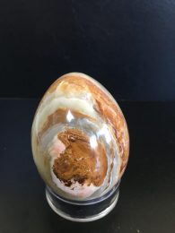 אוניקס ביצה על מעמד עץ מסוגנן משקל: 255 גרם