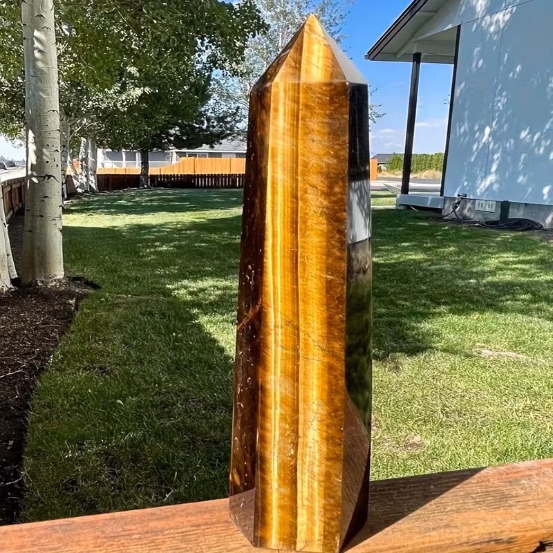 מוט טייגר אי זהב גובה: כ 16 ס"מ